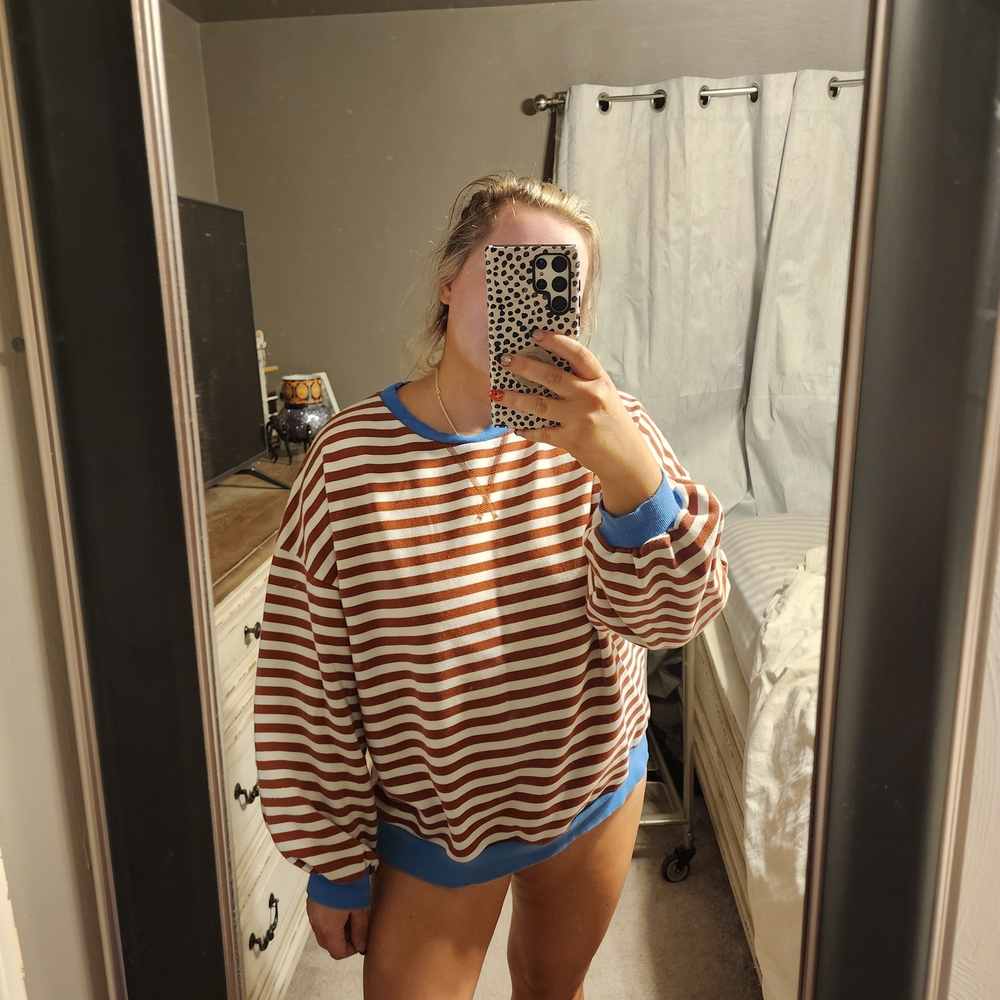 Free People Brown and Blue Striped Sweatshirt